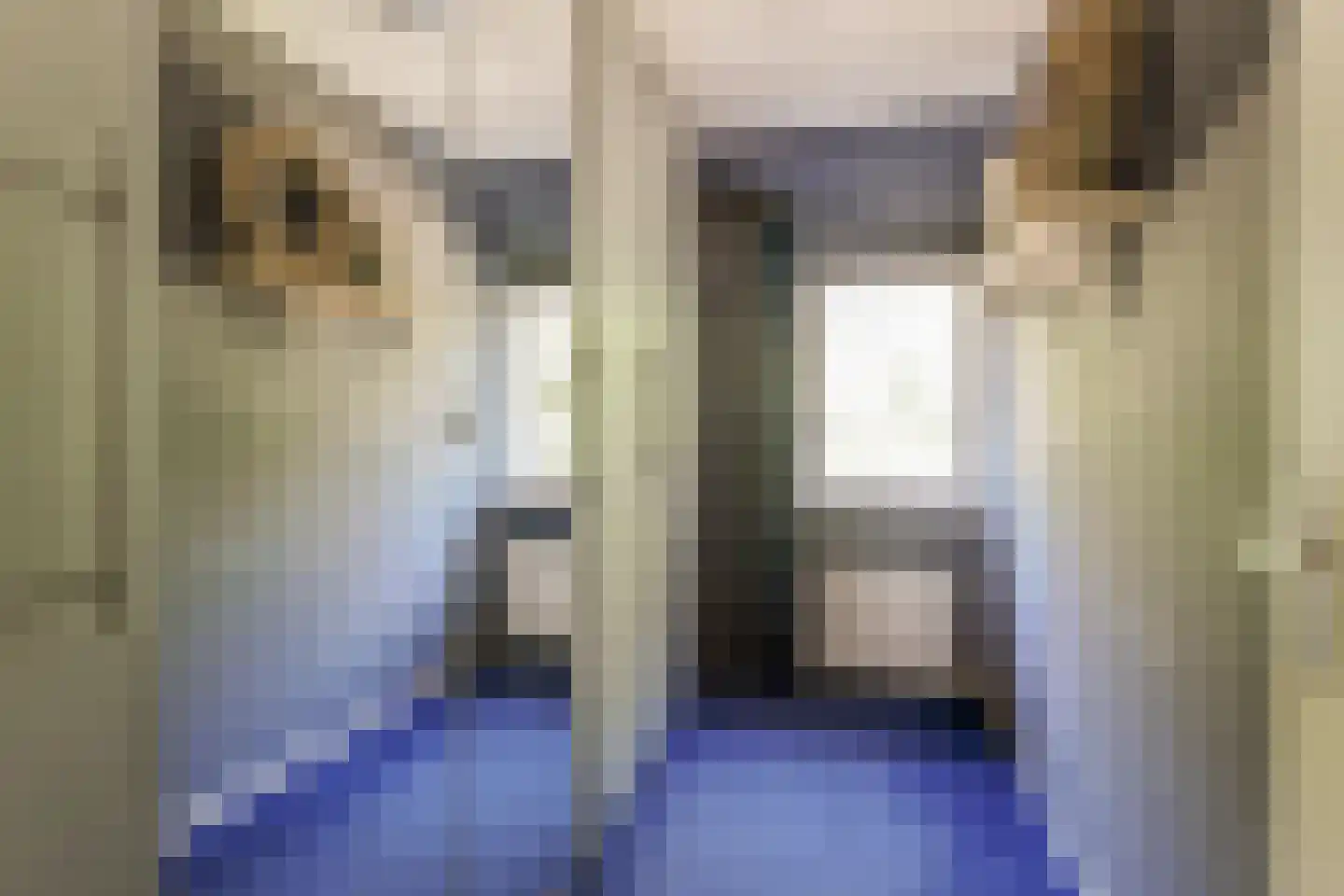 Sleutelbloem 17 Opmeer thumbnail 26