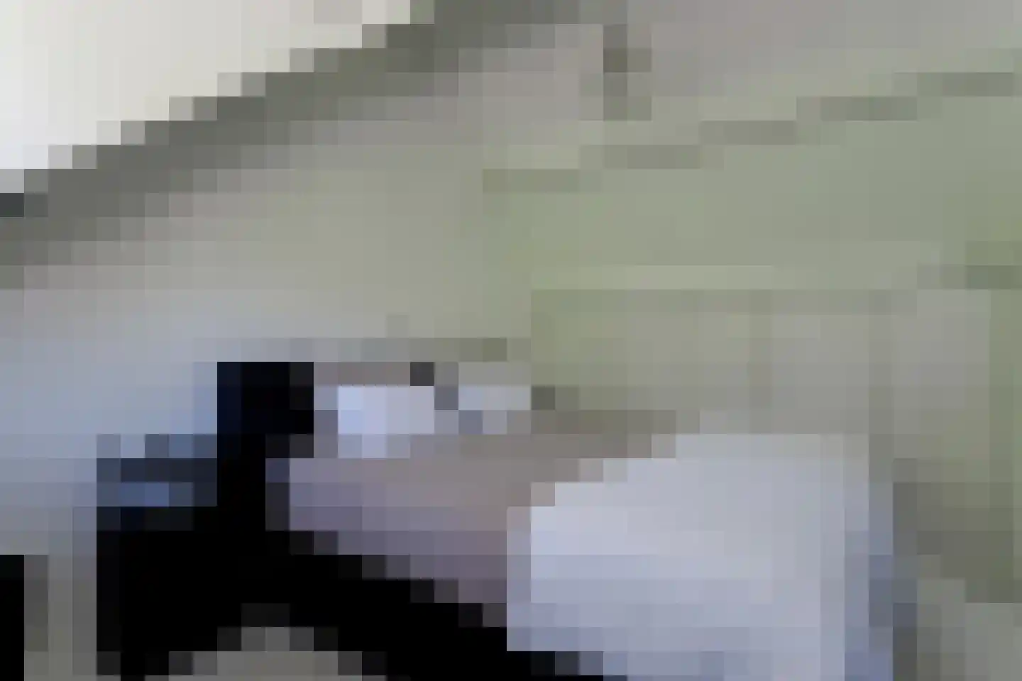 Sleutelbloem 17 Opmeer thumbnail 43