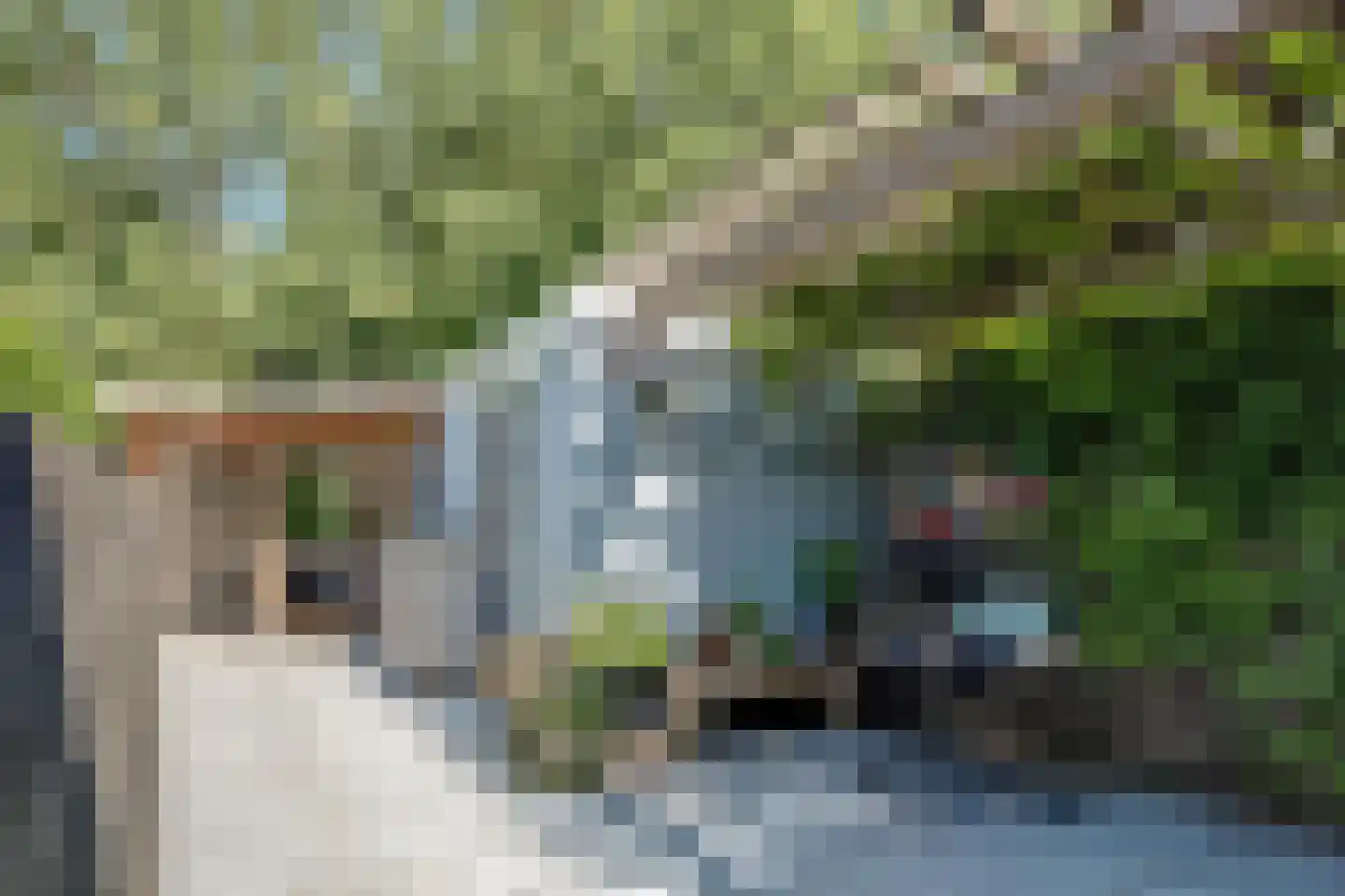 Sleutelbloem 17 Opmeer thumbnail 47