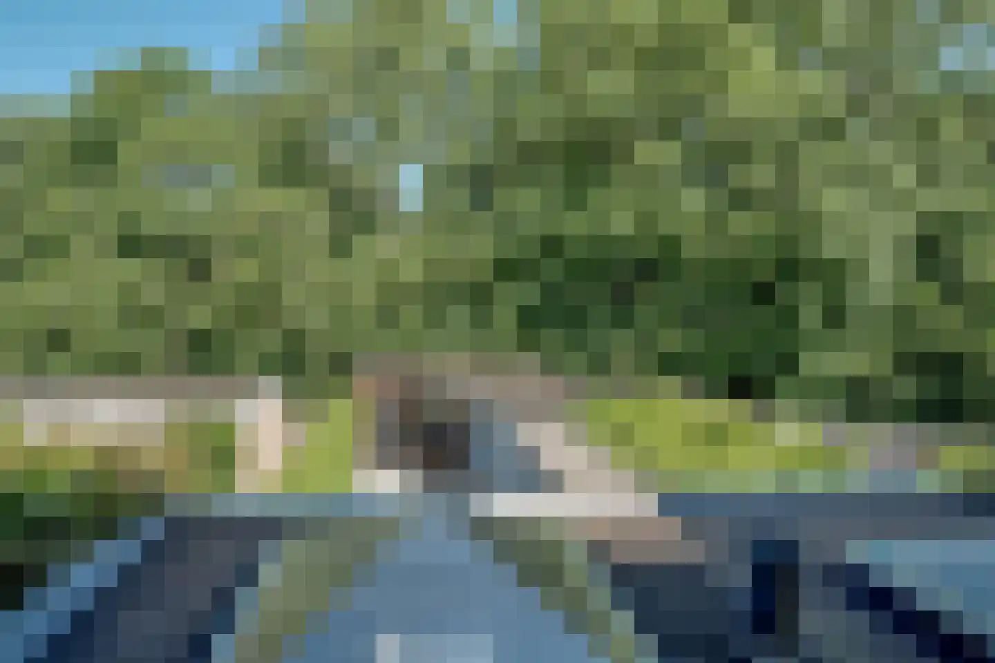 Sleutelbloem 17 Opmeer thumbnail 56