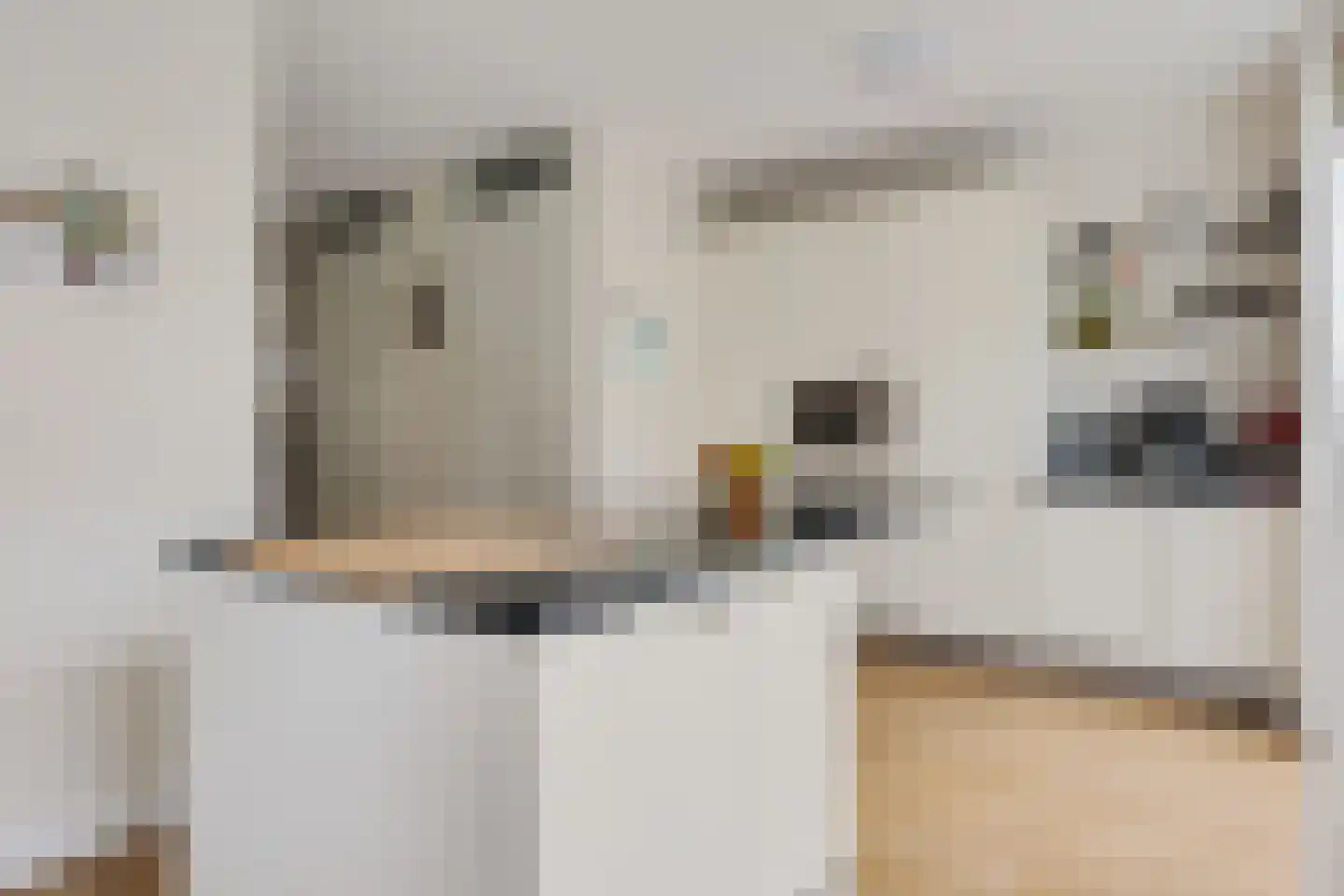 Sleutelbloem 19 Berghem thumbnail 14