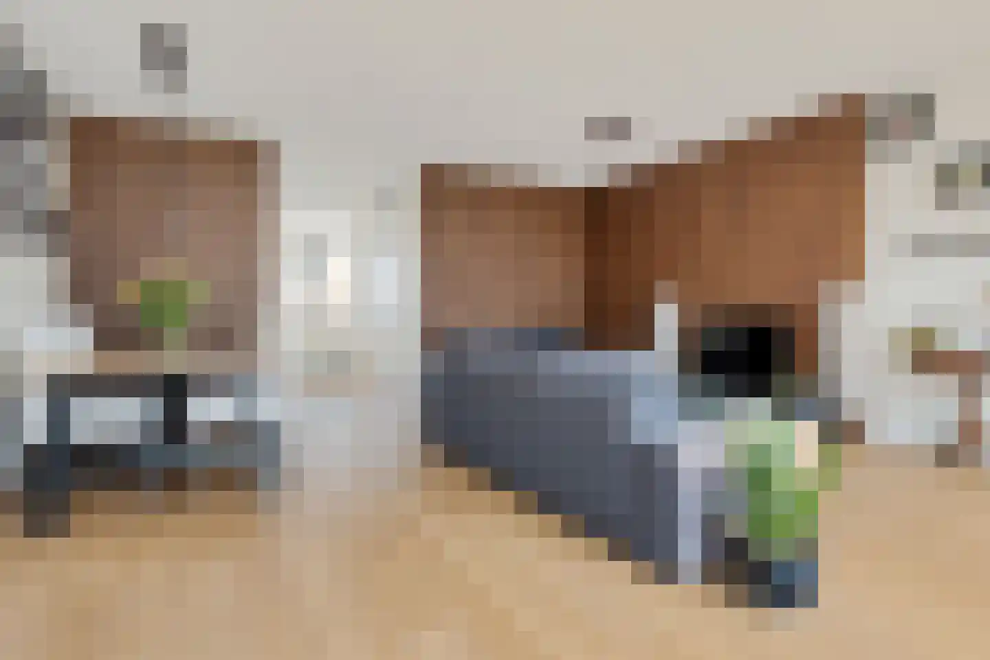 Sleutelbloem 19 Berghem thumbnail 20