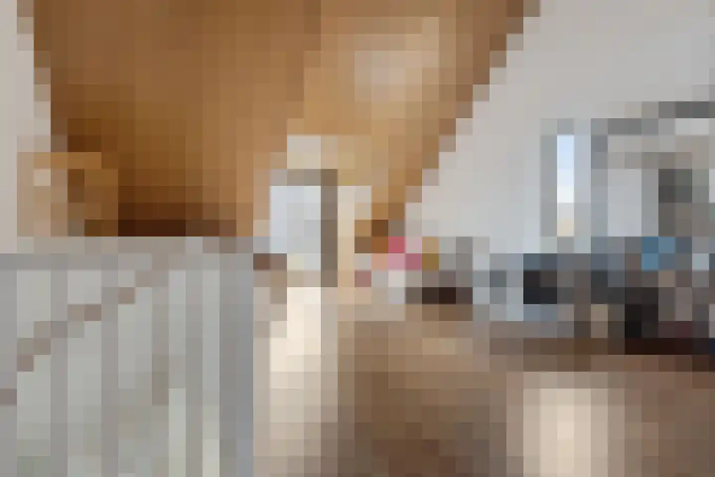 Sleutelbloem 19 Berghem thumbnail 38