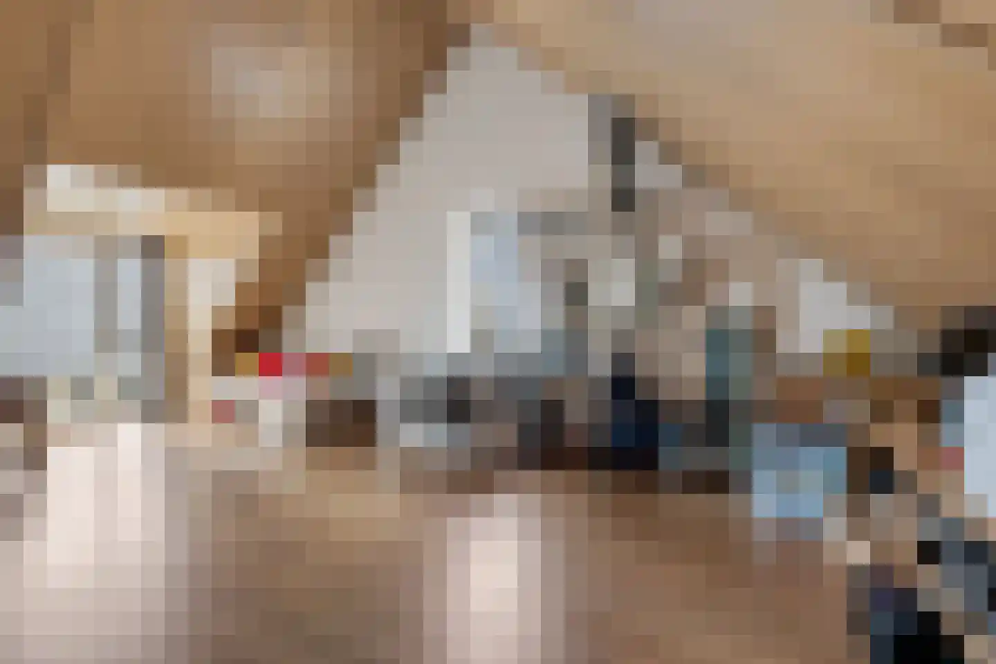 Sleutelbloem 19 Berghem thumbnail 39