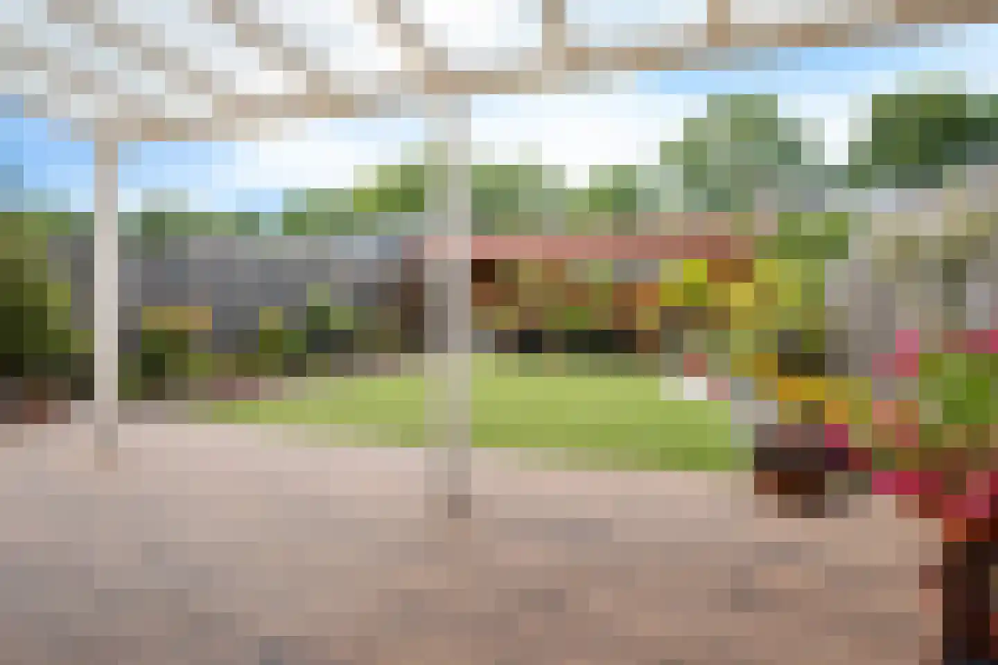 Sleutelbloem 19 Berghem thumbnail 44