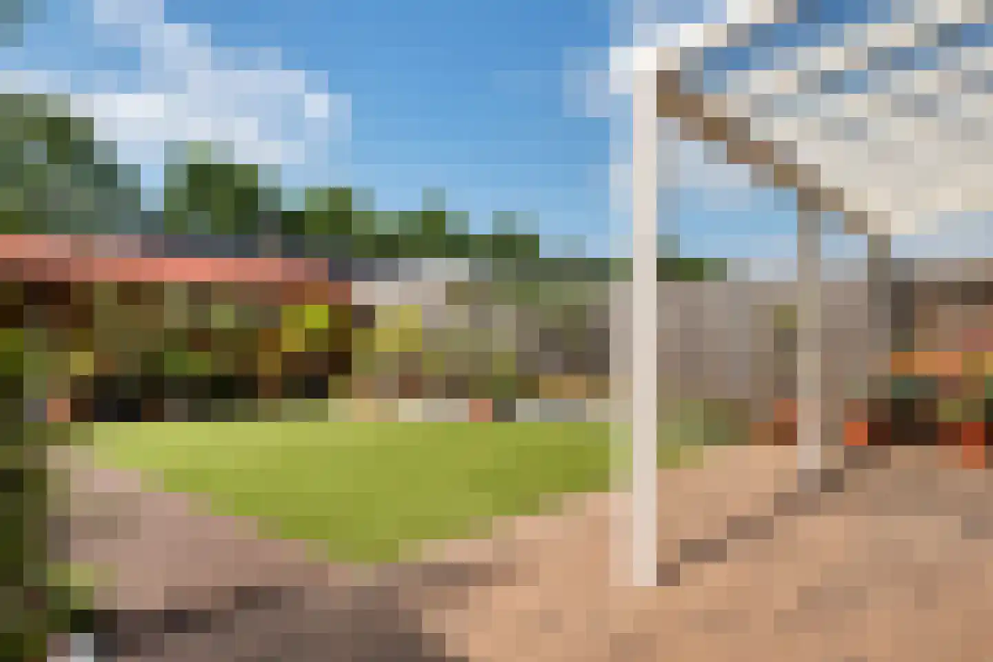 Sleutelbloem 19 Berghem thumbnail 45