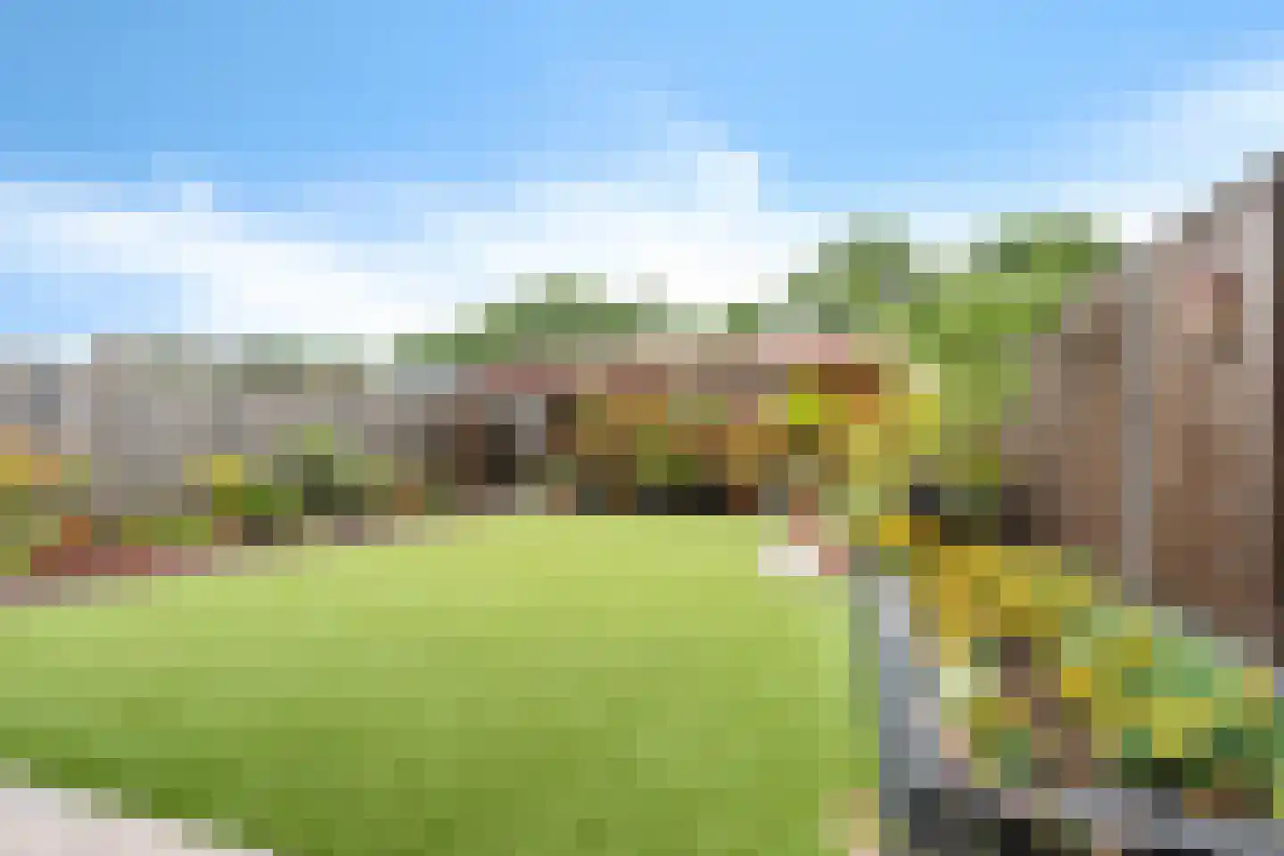 Sleutelbloem 19 Berghem thumbnail 47