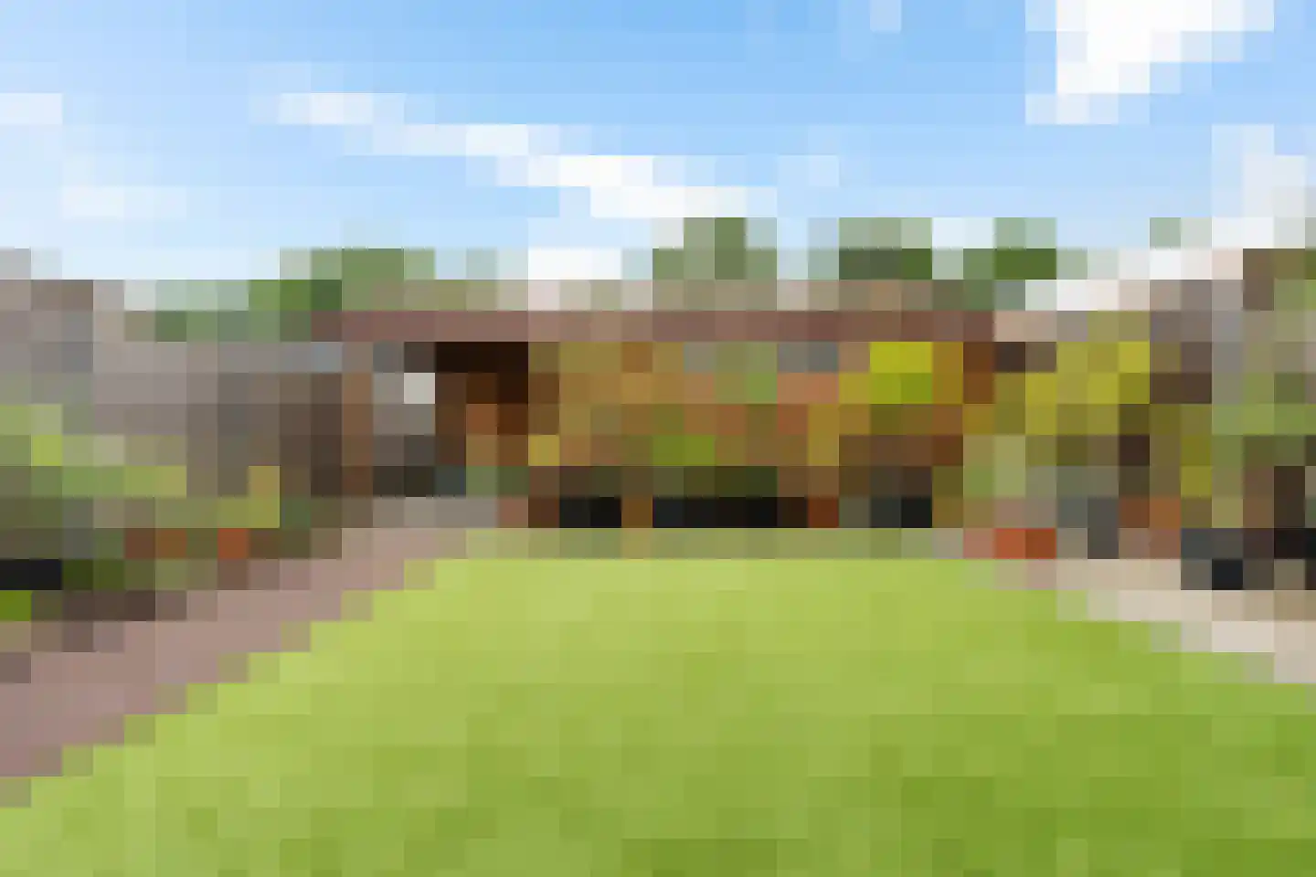 Sleutelbloem 19 Berghem thumbnail 48