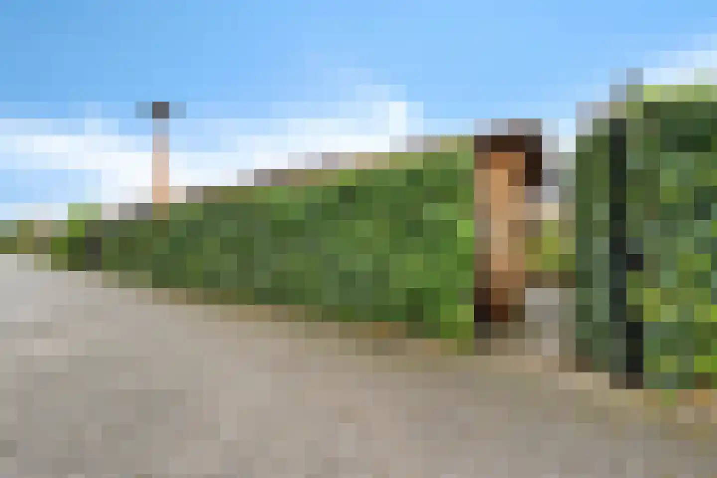 Sleutelbloem 19 Berghem thumbnail 50