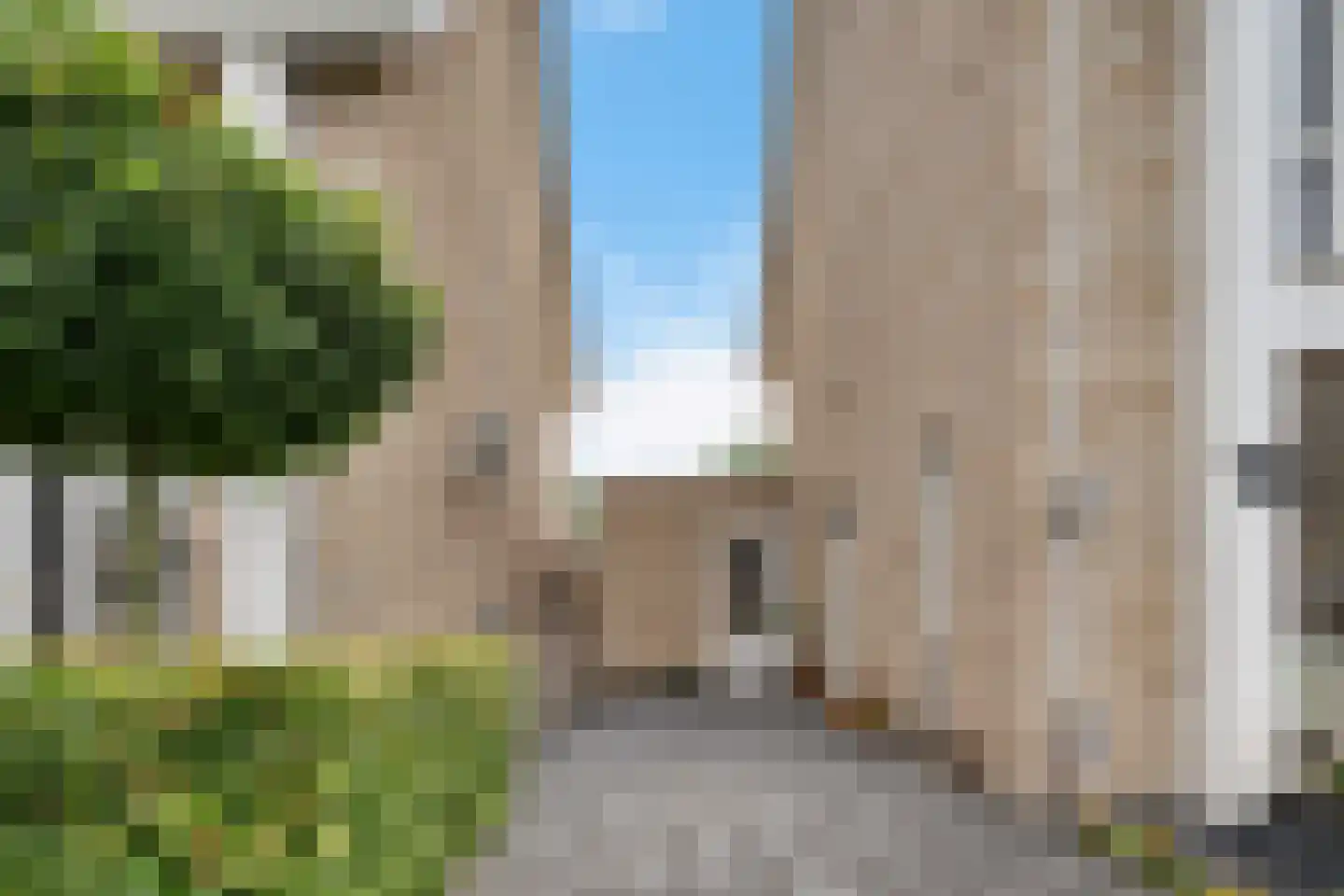 Sleutelbloem 19 Berghem thumbnail 7