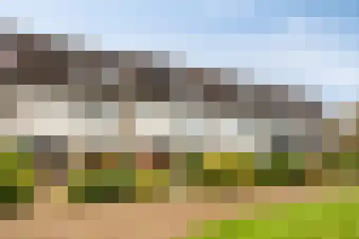 Sleutelbloem 19 Castricum thumbnail 5