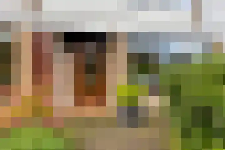 Sleutelbloem 19 Castricum thumbnail 7