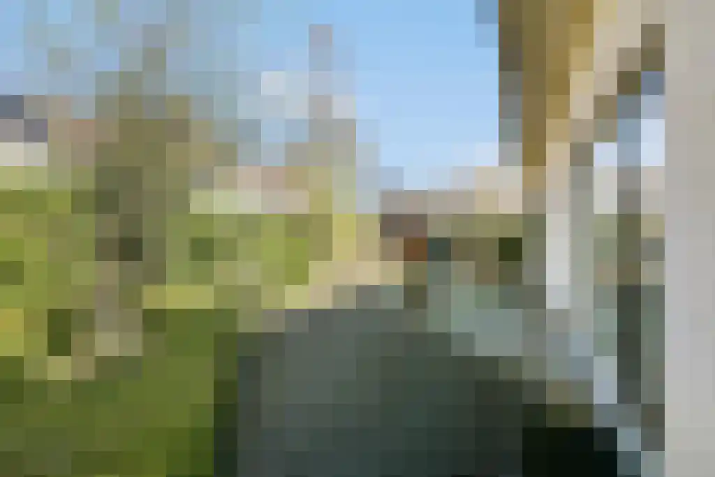 Sleutelbloem 19 Leeuwarden thumbnail 33