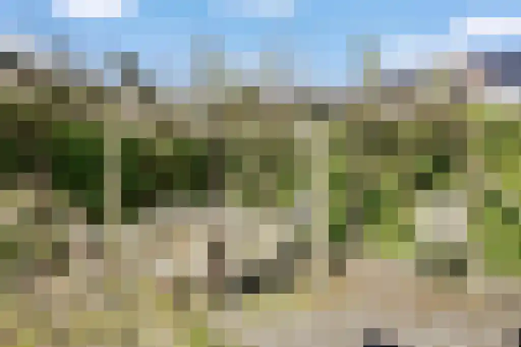 Sleutelbloem 19 Leeuwarden thumbnail 34