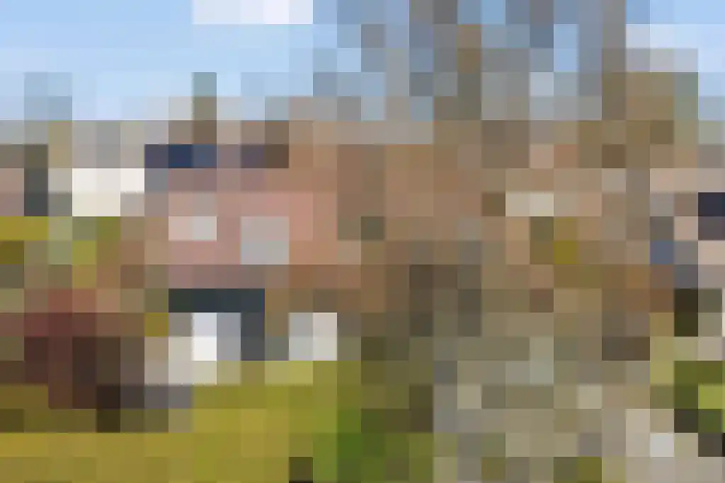 Sleutelbloem 19 Leeuwarden thumbnail 4