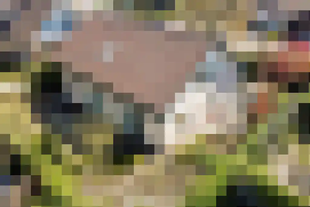 Sleutelbloem 19 Leeuwarden thumbnail 6