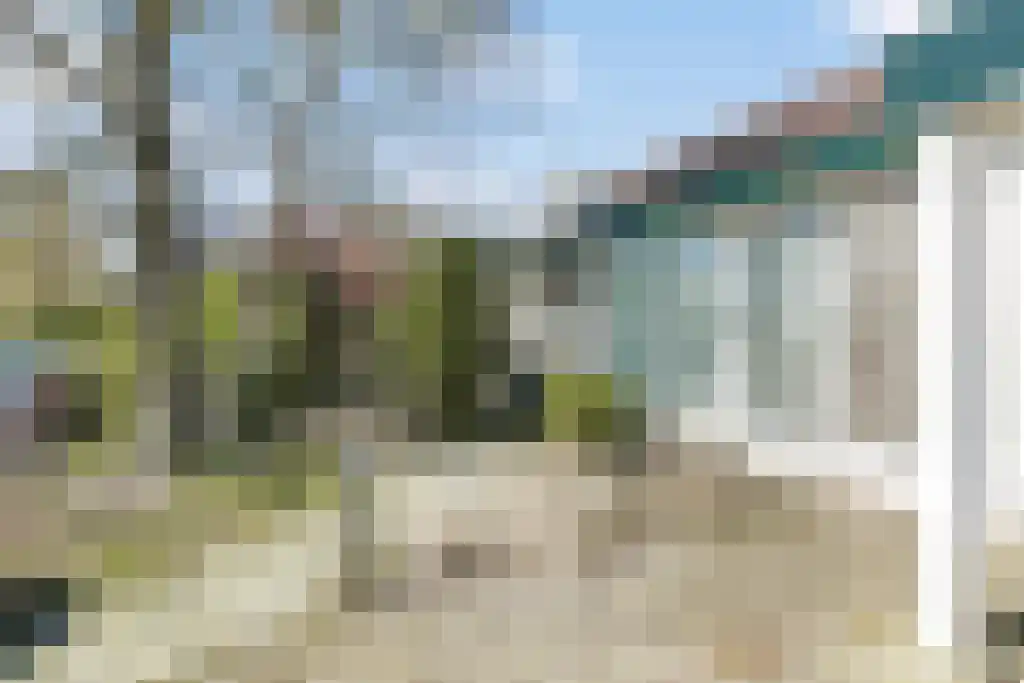 Sleutelbloem 19 Leeuwarden thumbnail 7