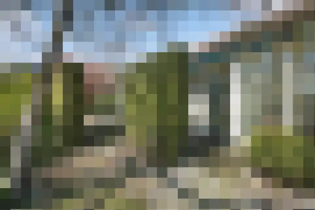 Sleutelbloem 19 Leeuwarden thumbnail 9