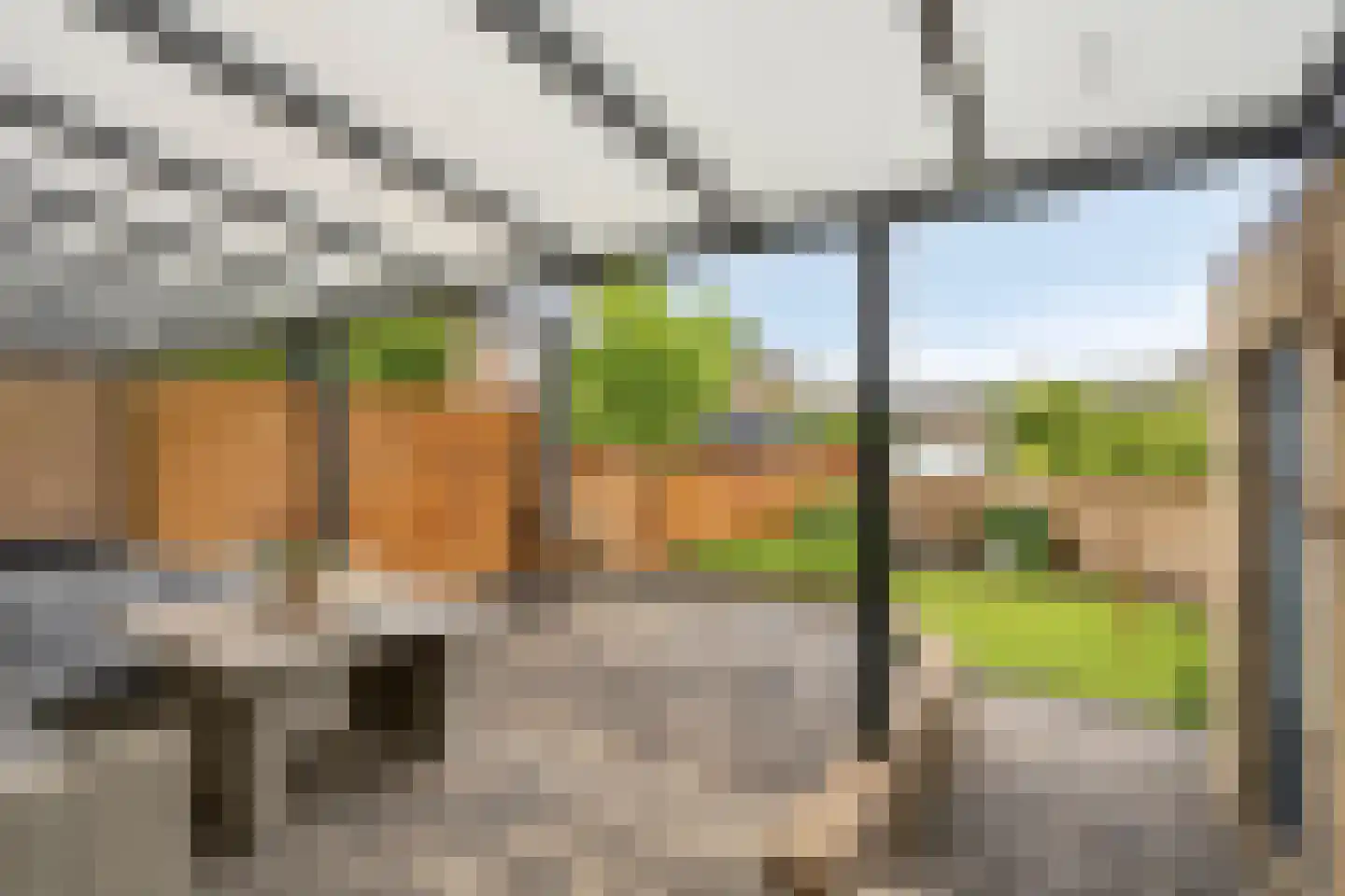 Sleutelbloem 2 Brunssum thumbnail 21