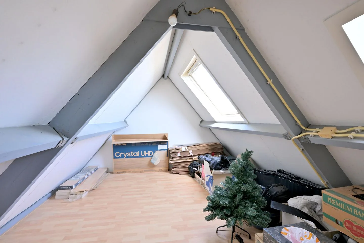 Sleutelbloem 2 Deventer thumbnail 24