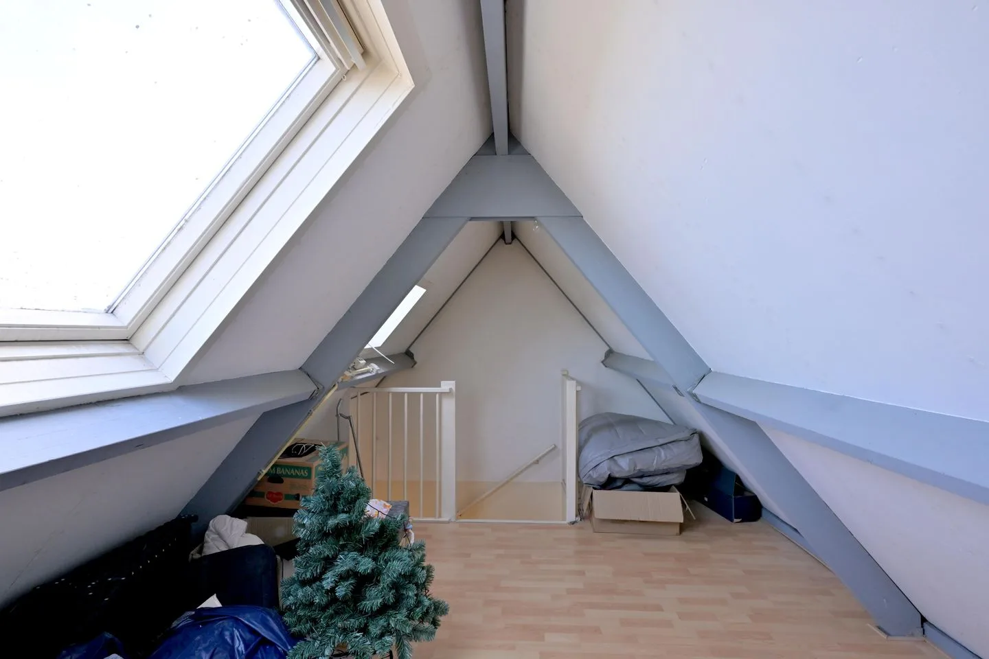 Sleutelbloem 2 Deventer thumbnail 25