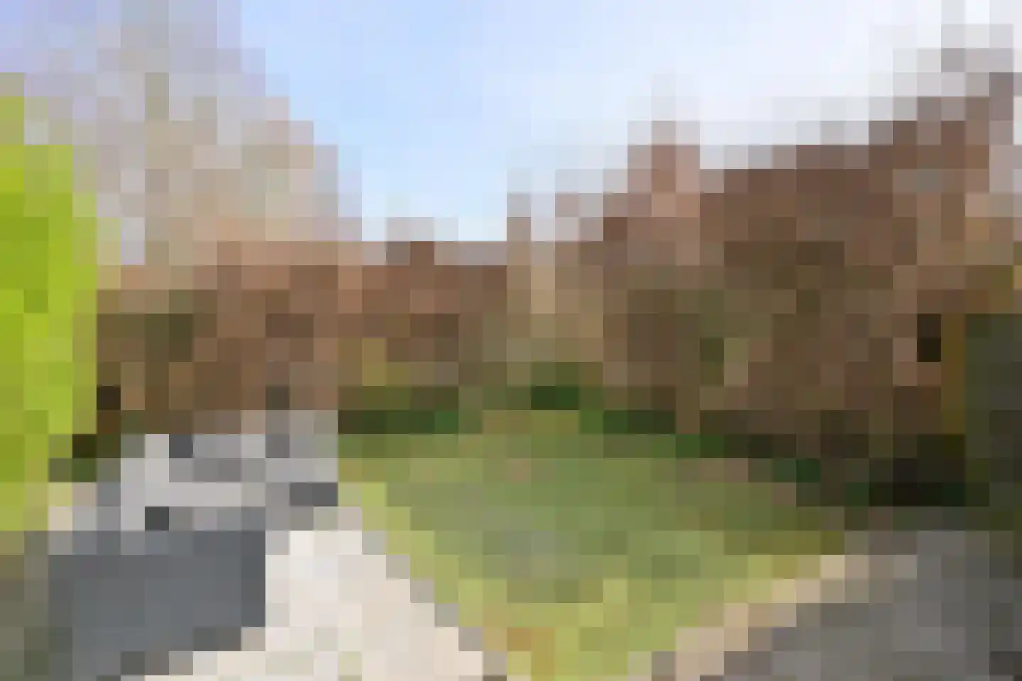 Sleutelbloem 2 Deventer thumbnail 4