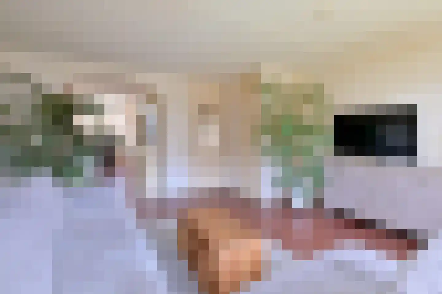 Sleutelbloem 2 Deventer thumbnail 9