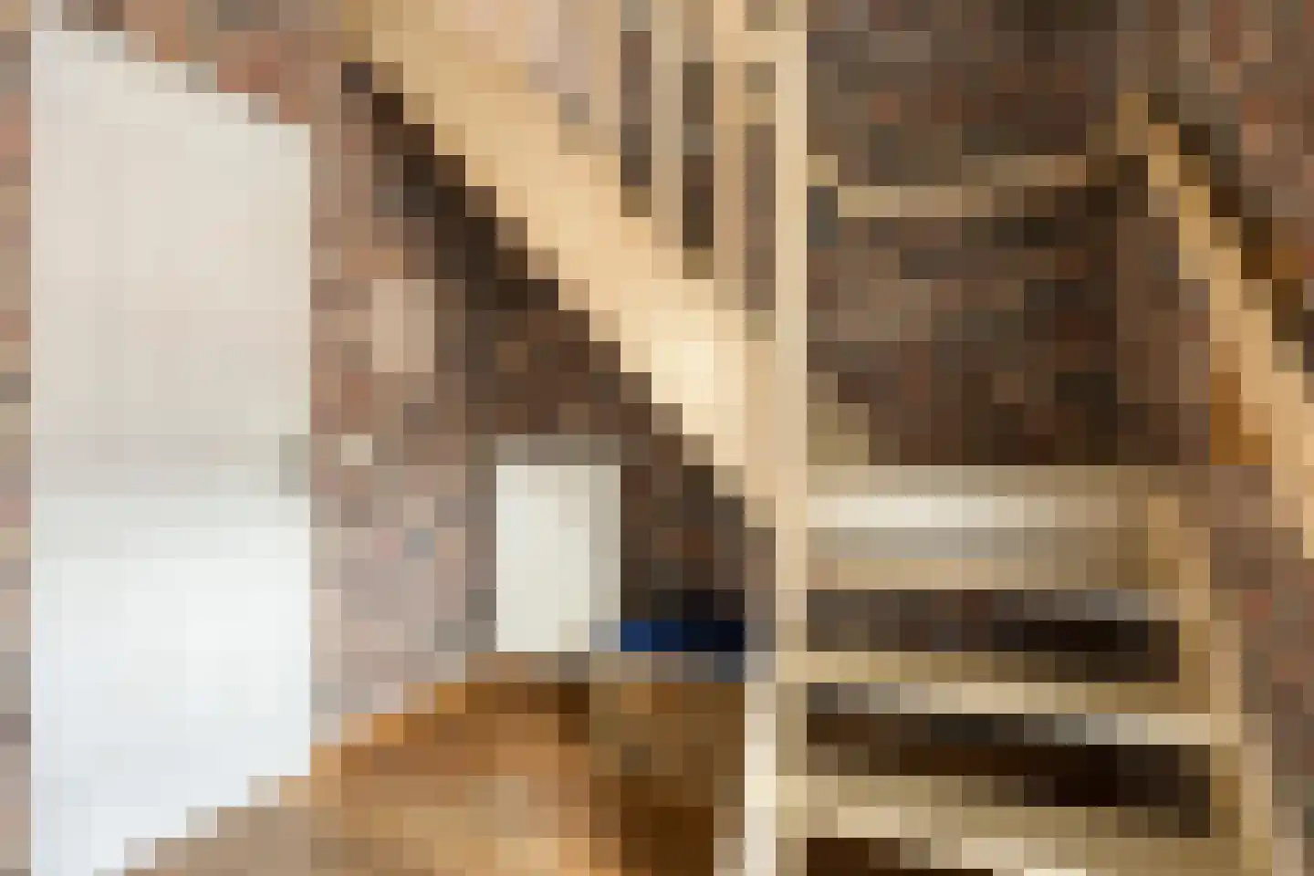 Sleutelbloem 21 Boekel thumbnail 10