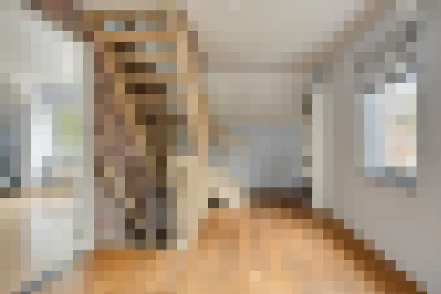 Sleutelbloem 21 Boekel thumbnail 20