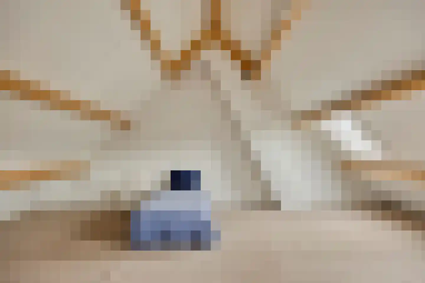 Sleutelbloem 21 Boekel thumbnail 33