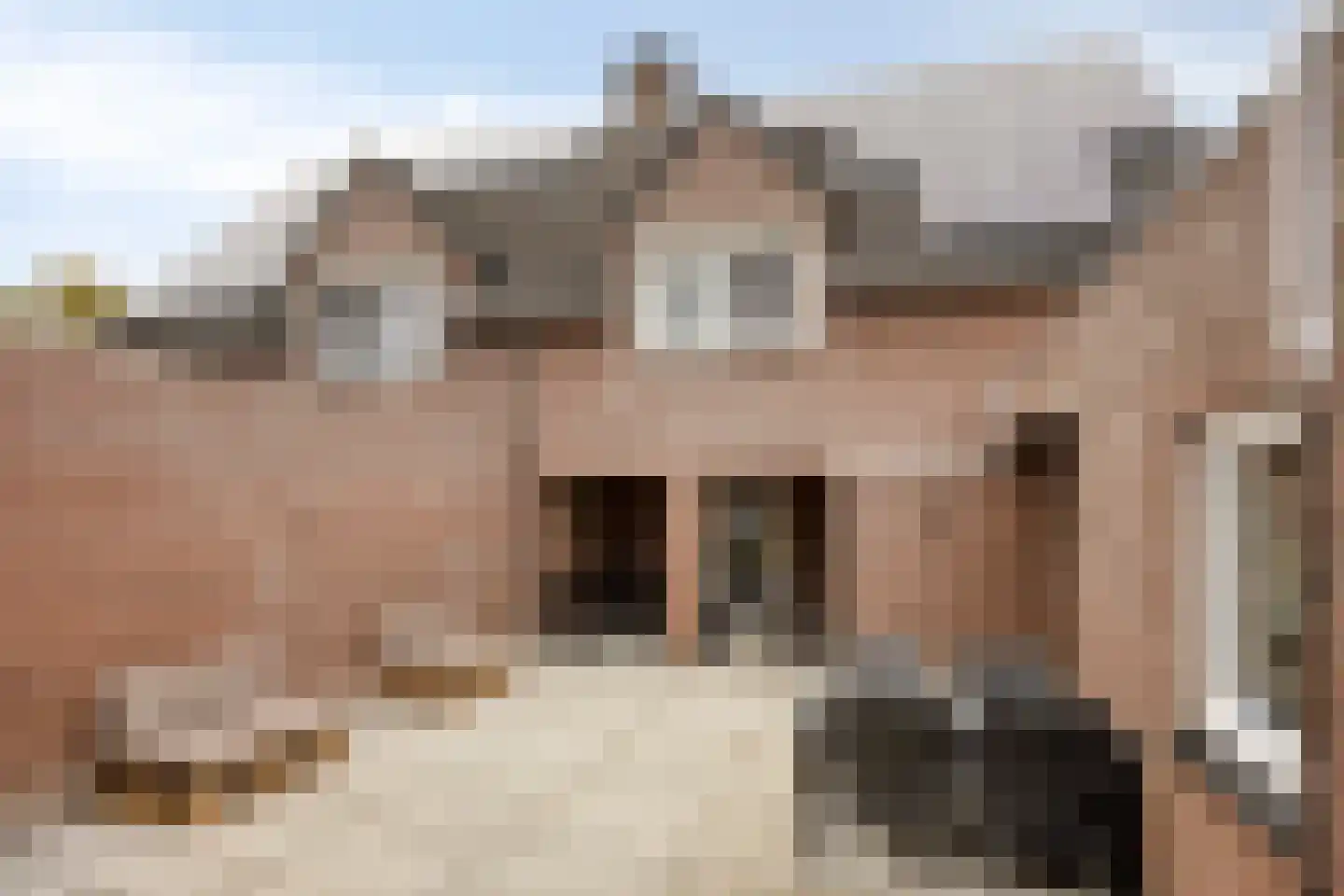 Sleutelbloem 21 Boekel thumbnail 34