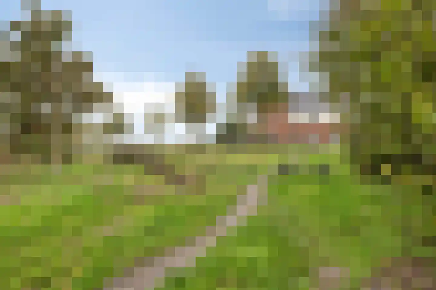 Sleutelbloem 21 Boekel thumbnail 48