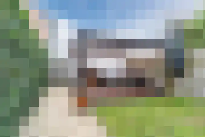 Sleutelbloem 21 Culemborg thumbnail 28