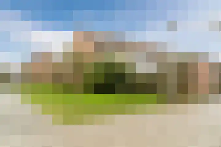 Sleutelbloem 21 Culemborg thumbnail 35