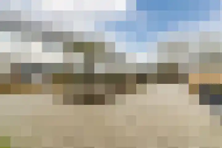 Sleutelbloem 21 Culemborg thumbnail 36