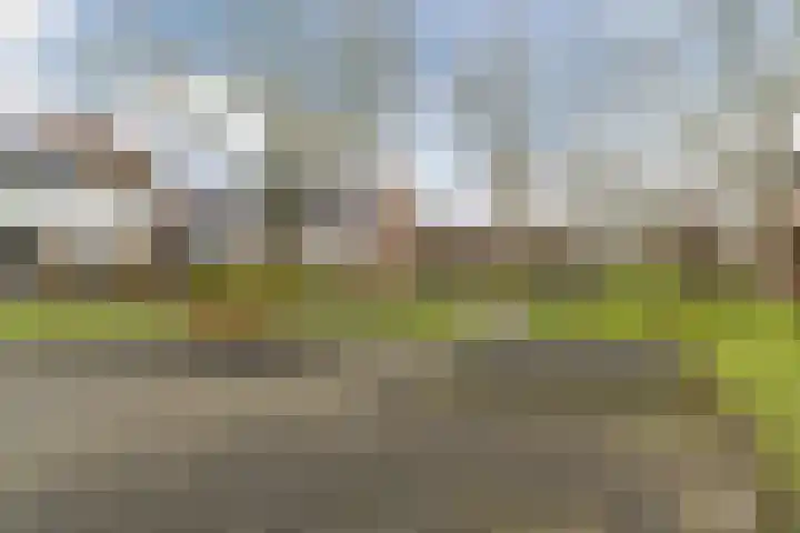 Sleutelbloem 21 Culemborg thumbnail 38