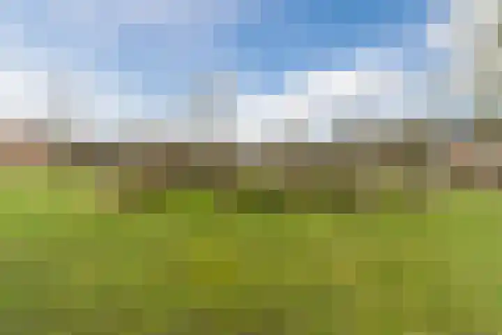 Sleutelbloem 21 Culemborg thumbnail 39