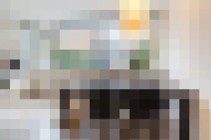 Sleutelbloem 21 Culemborg thumbnail 6