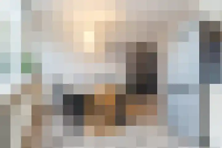 Sleutelbloem 21 Culemborg thumbnail 7