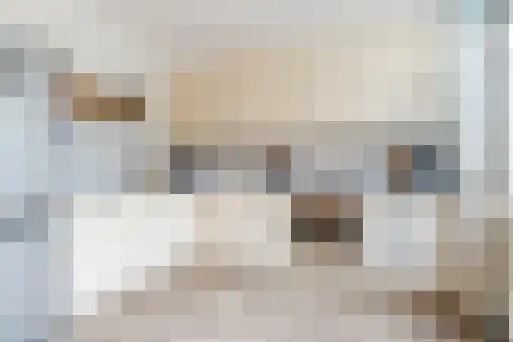 Sleutelbloem 21 Culemborg thumbnail 8