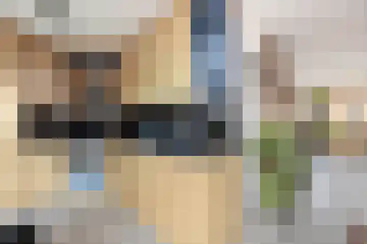 Sleutelbloem 21 Deventer thumbnail 12