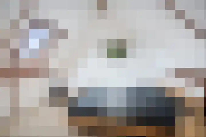 Sleutelbloem 21 Deventer thumbnail 27