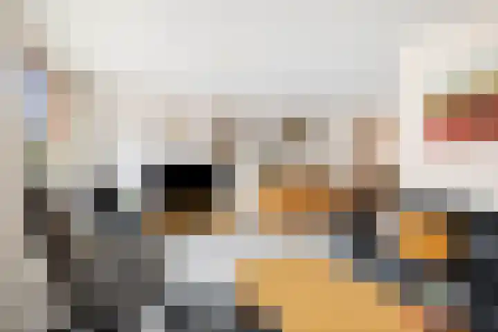 Sleutelbloem 21 Deventer thumbnail 8
