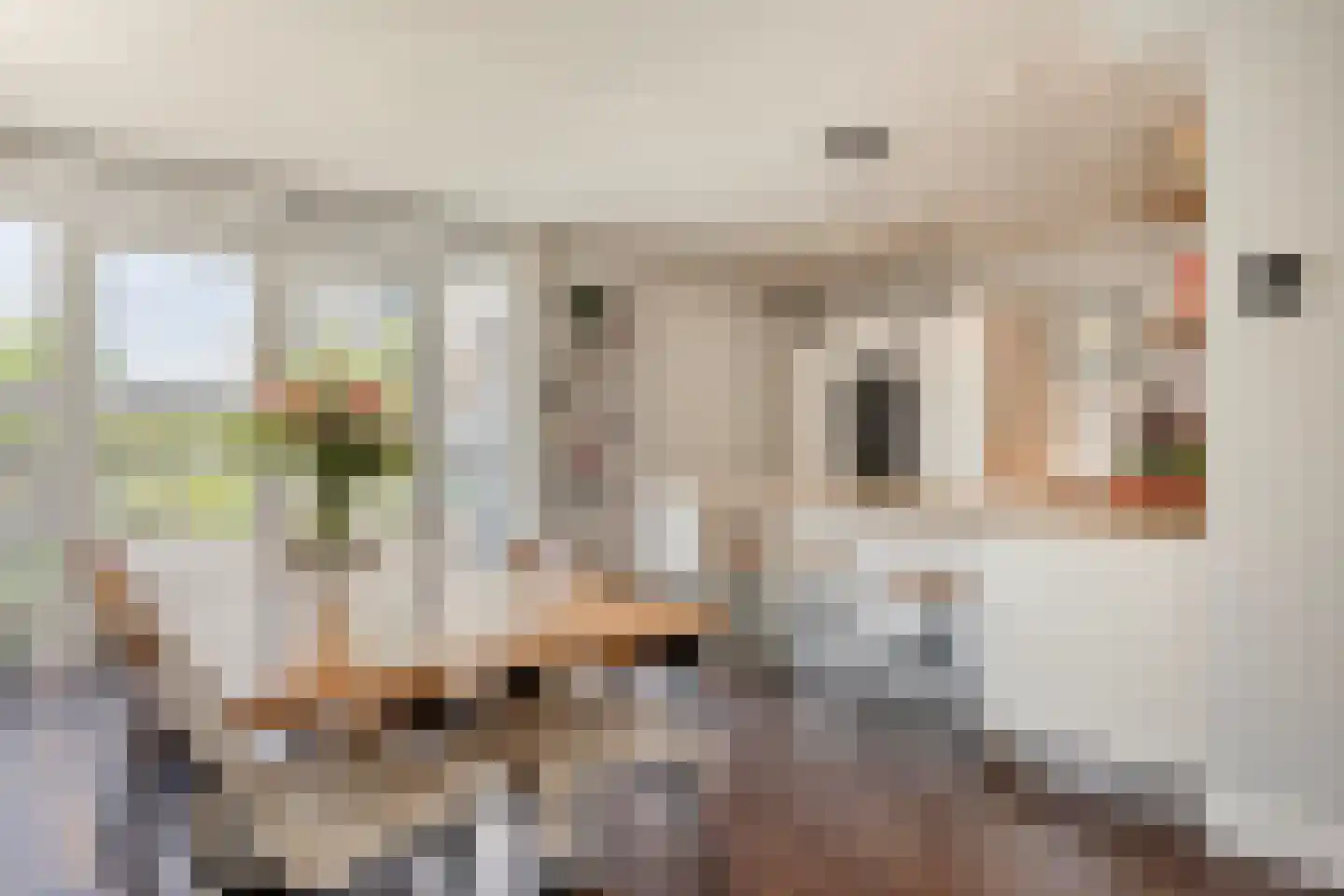 Sleutelbloem 22 Eijsden thumbnail 10