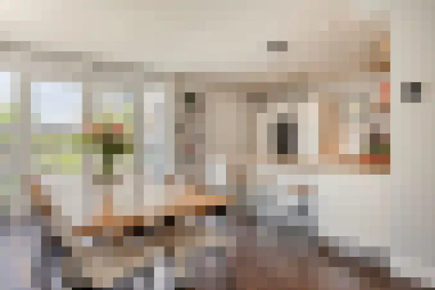 Sleutelbloem 22 Eijsden thumbnail 12