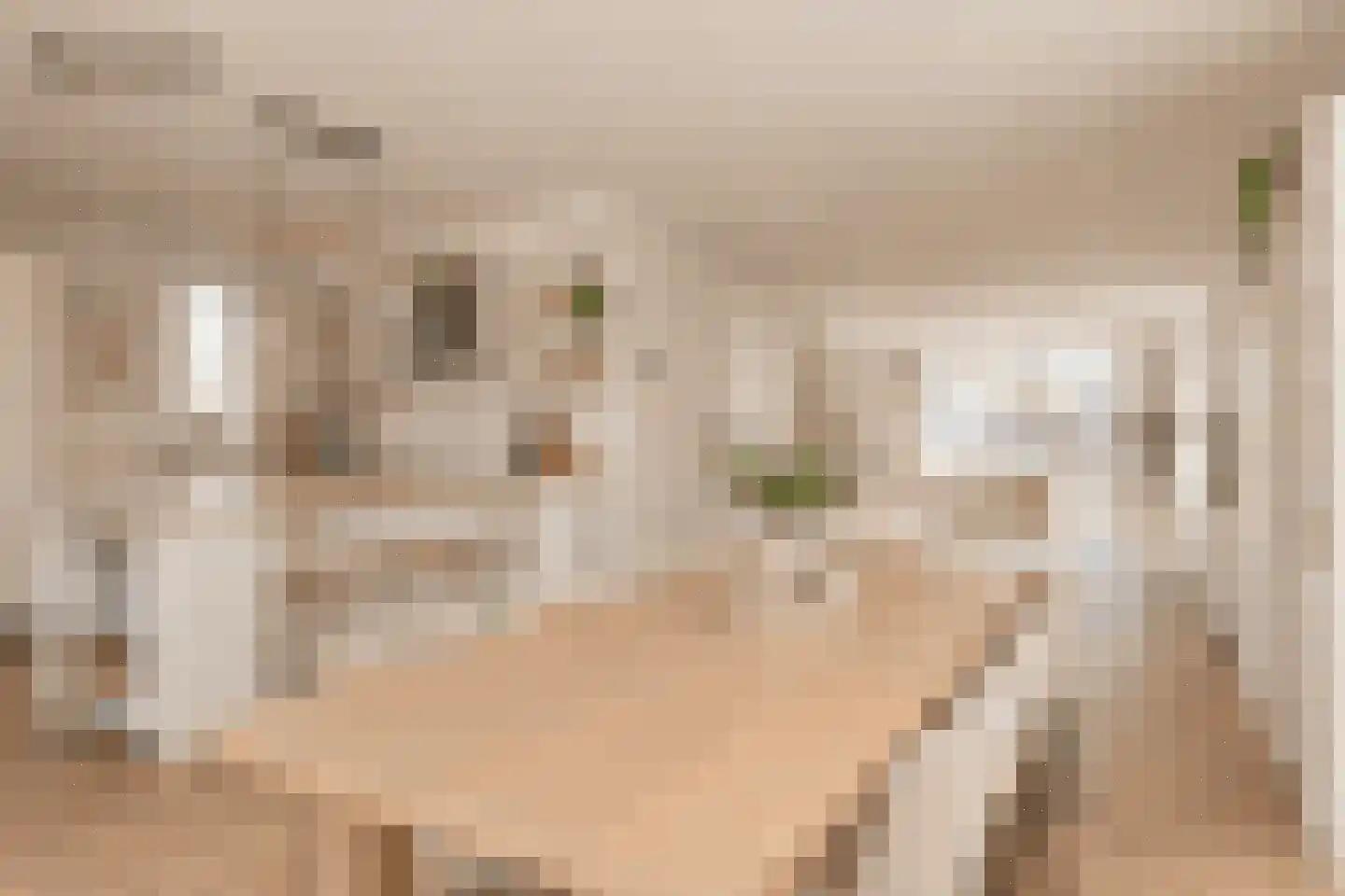 Sleutelbloem 22 Eijsden thumbnail 14