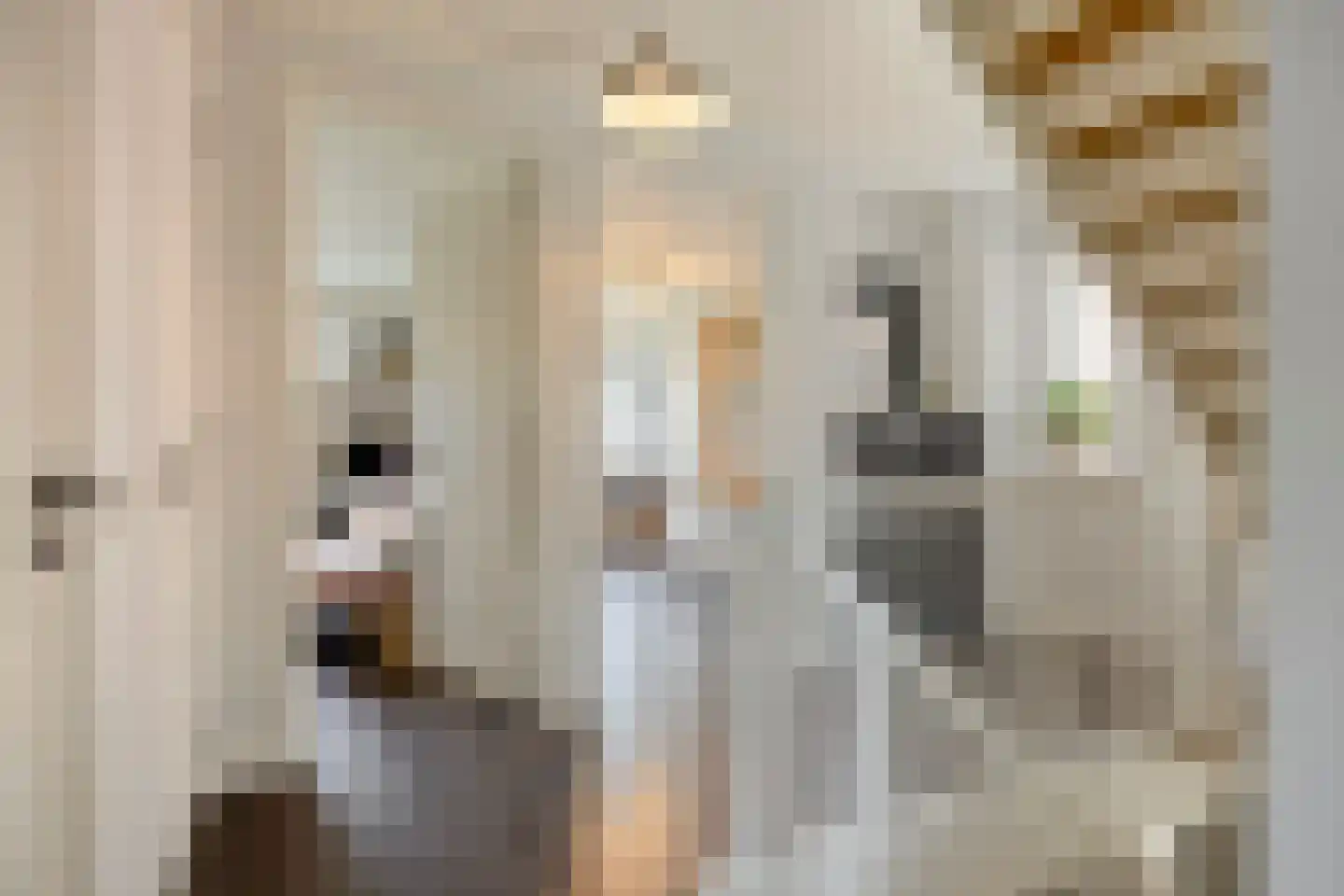 Sleutelbloem 22 Eijsden thumbnail 23