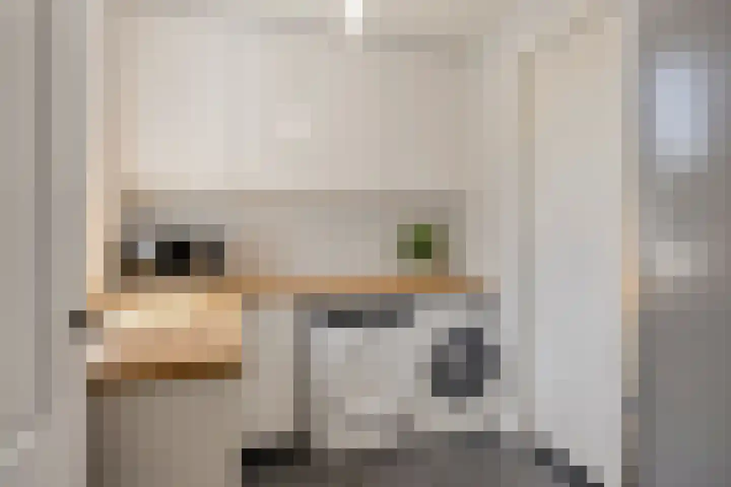 Sleutelbloem 22 Eijsden thumbnail 25