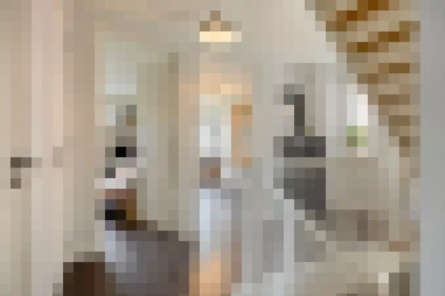 Sleutelbloem 22 Eijsden thumbnail 26