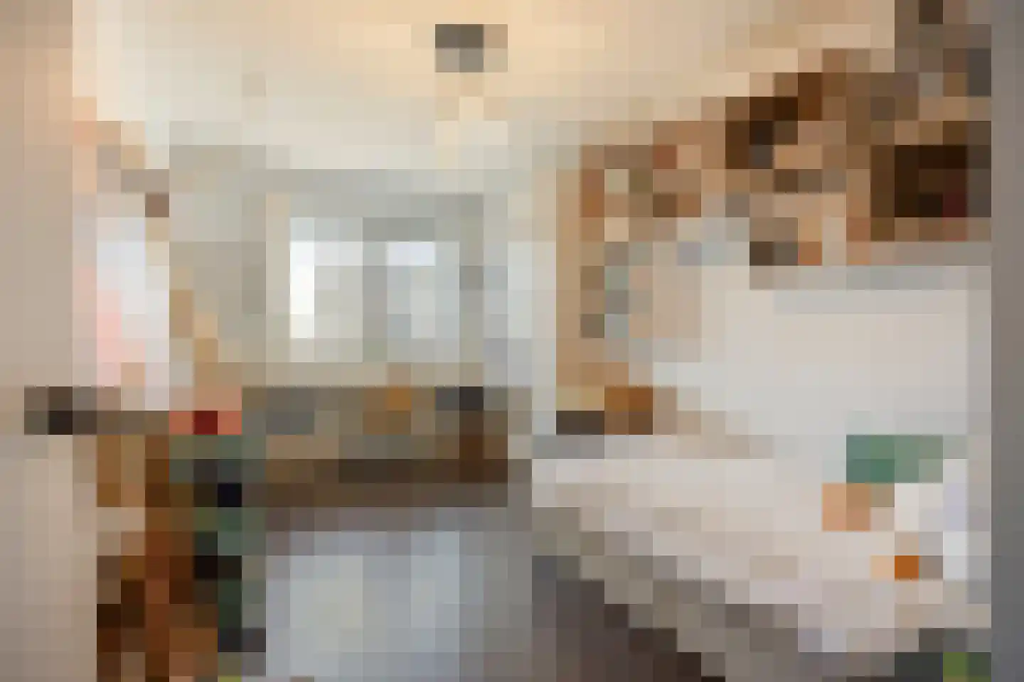 Sleutelbloem 22 Eijsden thumbnail 30